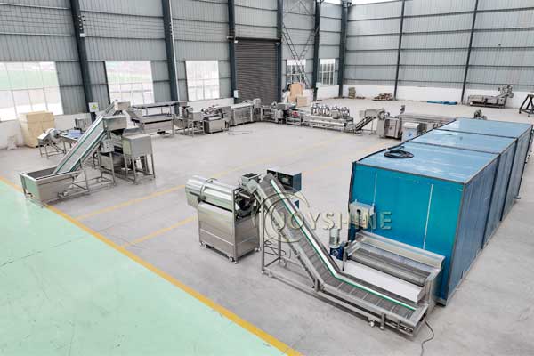 Solución de producción de papas fritas congeladas 500 kg/h