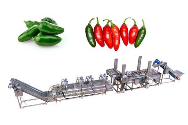Solución para el Lavado y Procesamiento de Chiles en México