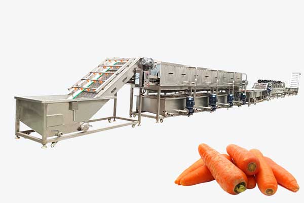 Solución Integral para el Lavado y Secado de Zanahorias