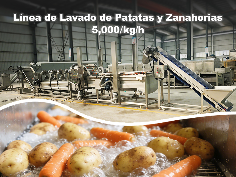Línea de lavado y procesamiento de patatas y zanahorias en República Dominicana – 5,000 kg/h