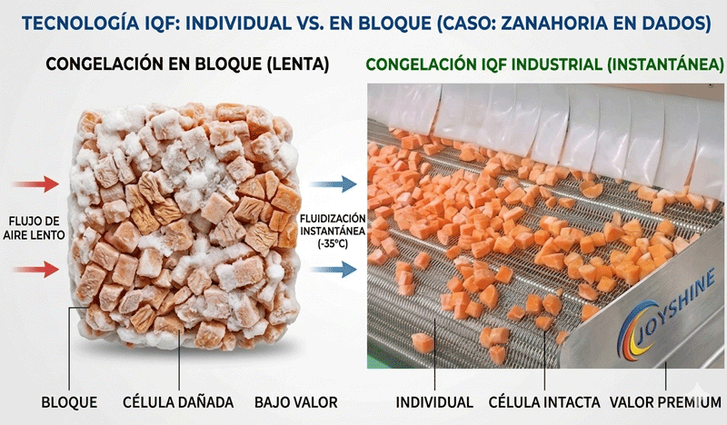 ¿Qué es la Congelación IQF? La Guía Definitiva de Tecnología y Soluciones Industriales